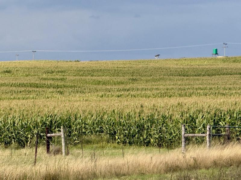 0 Bedroom Property for Sale in Harrismith Free State